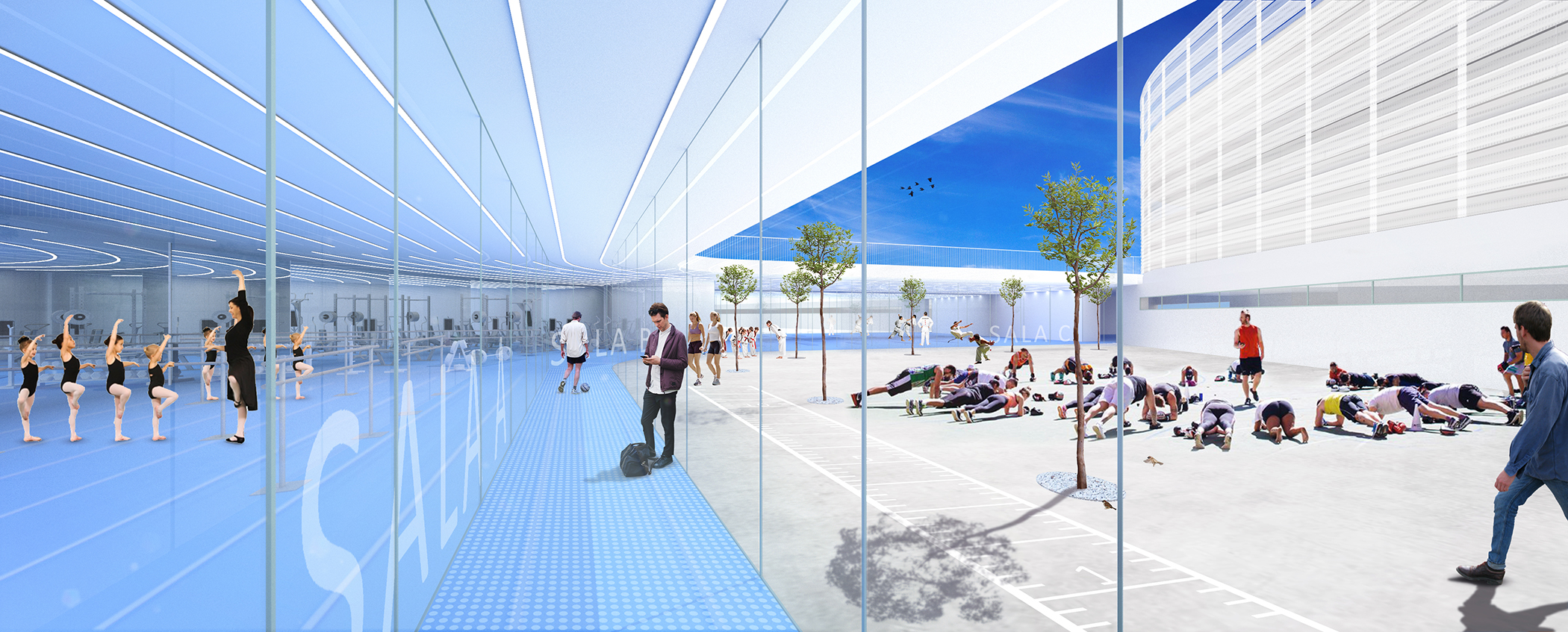 MCEA_ARQUITECTOS ELCHE_ARQUITECTURA EQUIPAMIENTO DEPORTIVO_INTERIOR 2