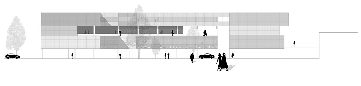 mcea_estudio-arquitectura_arquitectos_murcia_centro-investigacion-universidad-murcia-a4-jpg-26-907